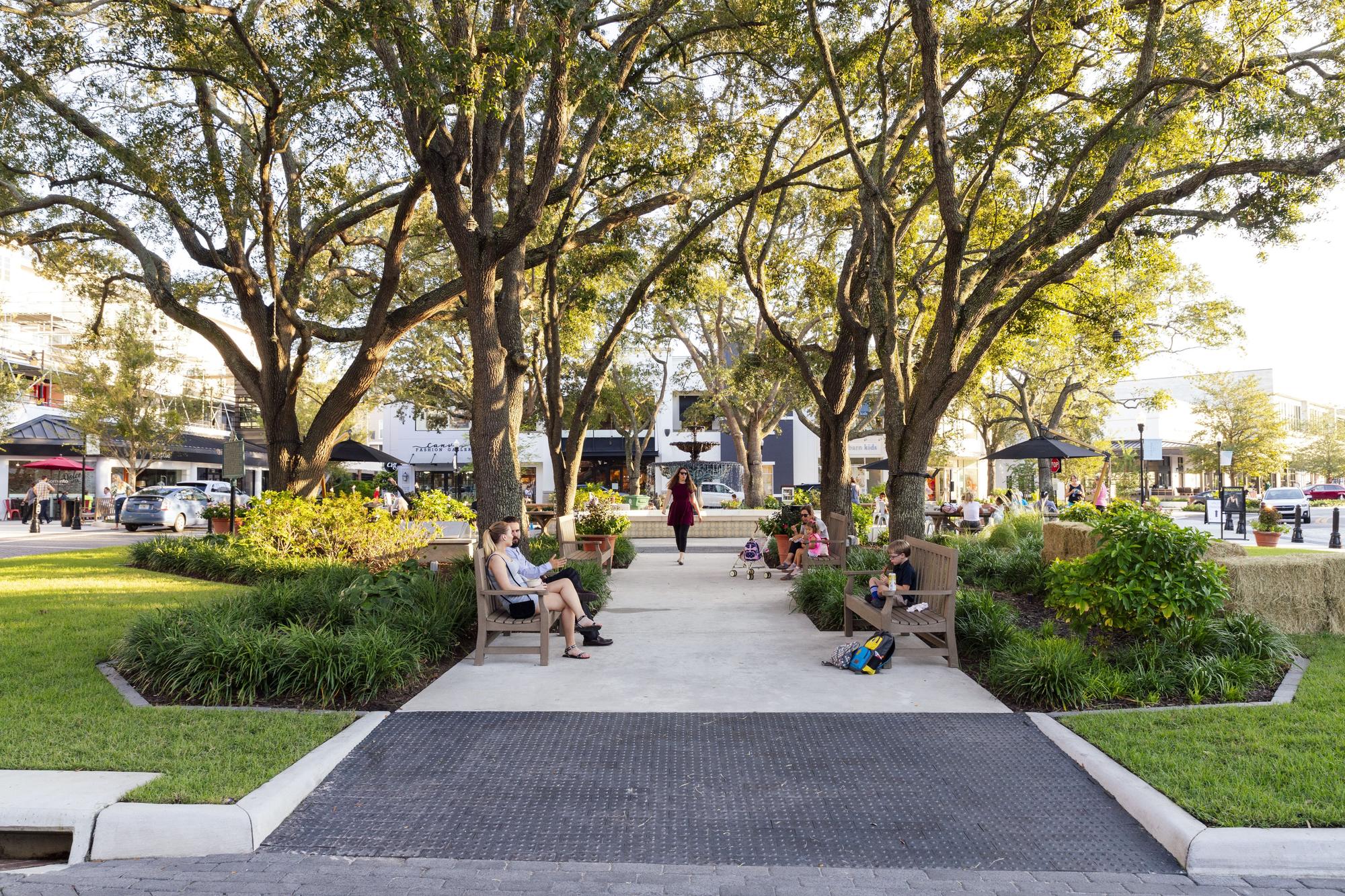 Hyde Park Village Roost Tampa